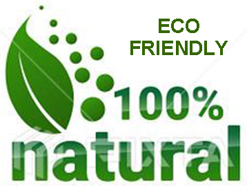 eco friendly underwear